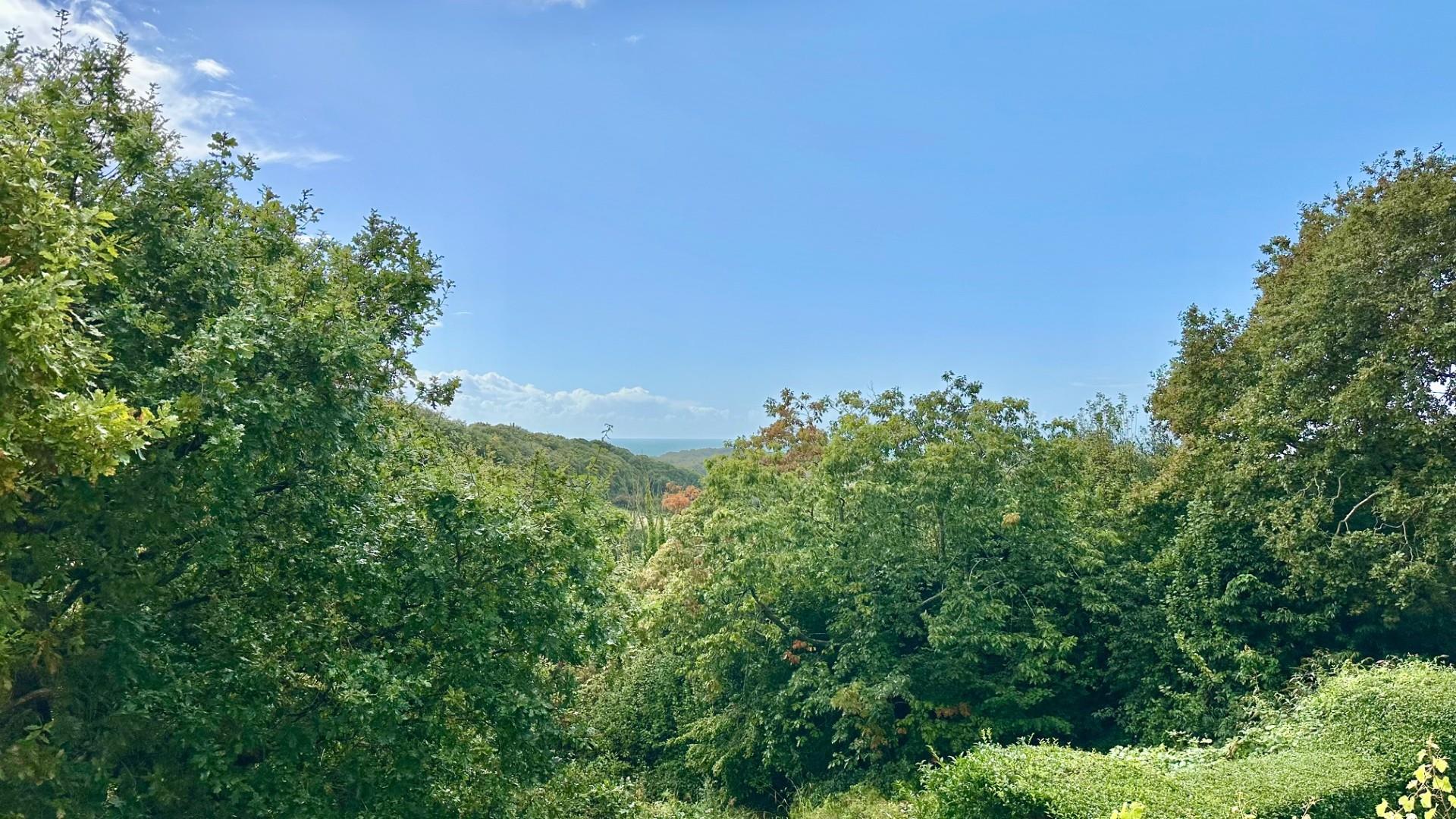 2 Tilekiln Lane, Hastings